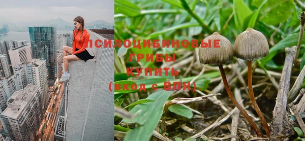 MDMA Premium VHQ Алексеевка