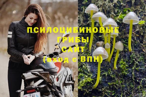 MDMA Premium VHQ Алексеевка