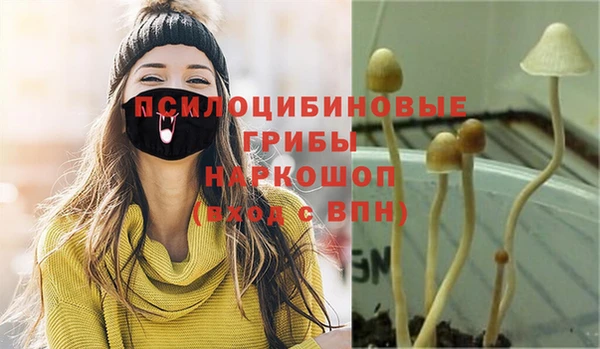 jwh Алзамай