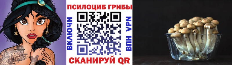 Псилоцибиновые грибы Cubensis дарнет шоп Южно-Сахалинск